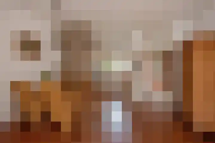Boomkleverstraat 44 Delft thumbnail 12