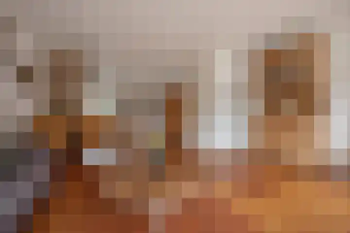 Boomkleverstraat 44 Delft thumbnail 14