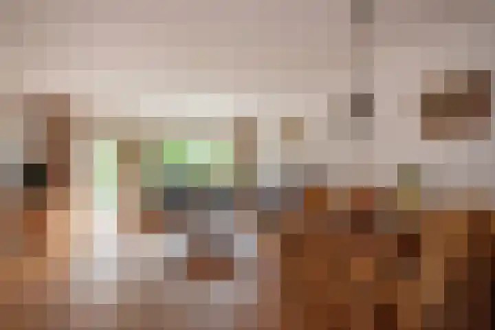 Boomkleverstraat 44 Delft thumbnail 15