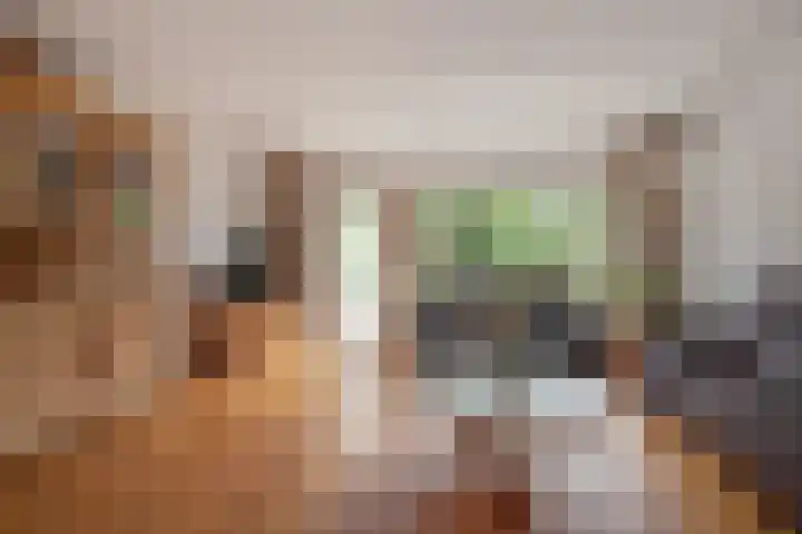 Boomkleverstraat 44 Delft thumbnail 16