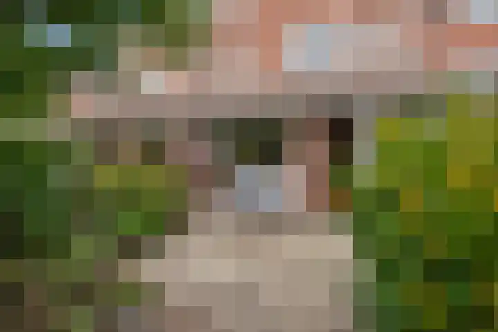 Boomkleverstraat 44 Delft thumbnail 17