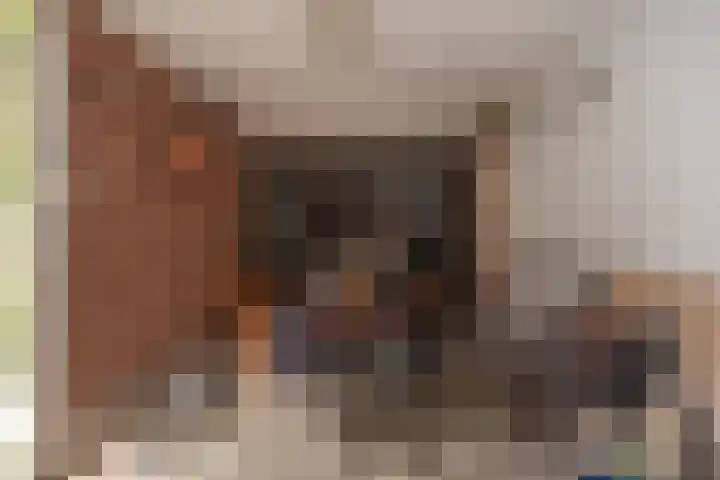 Boomkleverstraat 44 Delft thumbnail 33
