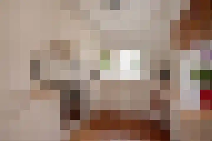 Boomkleverstraat 44 Delft thumbnail 4