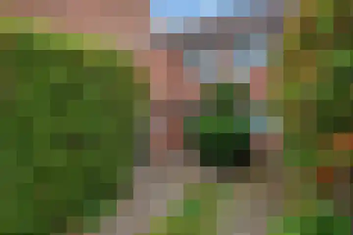 Boomkleverstraat 44 Delft thumbnail 5