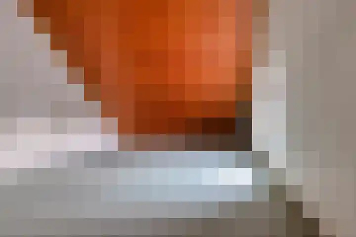 Boomkleverstraat 46 Delft thumbnail 34