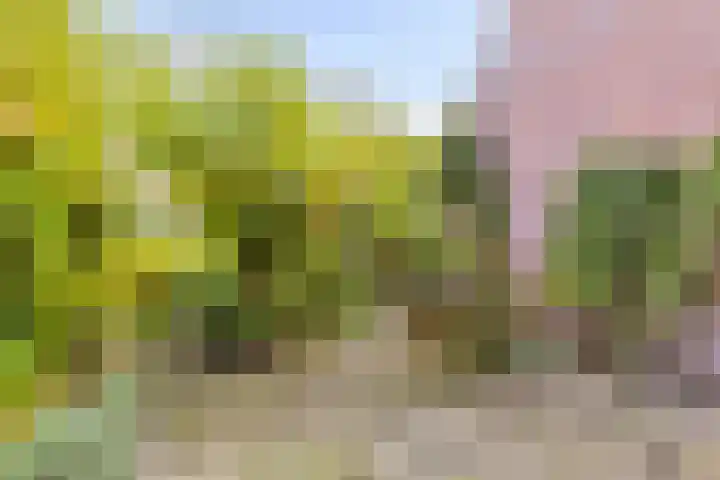 Boomkleverstraat 46 Delft thumbnail 38
