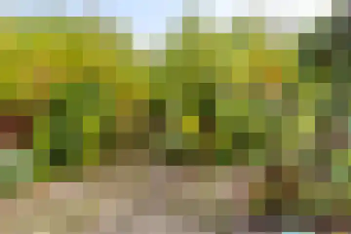 Boomkleverstraat 46 Delft thumbnail 39