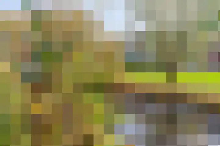 Boomkleverstraat 46 Delft thumbnail 4