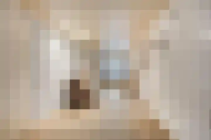 Boomkruiper 2 Boxmeer thumbnail 13