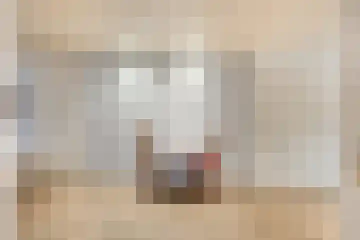 Boomkruiper 2 Boxmeer thumbnail 14