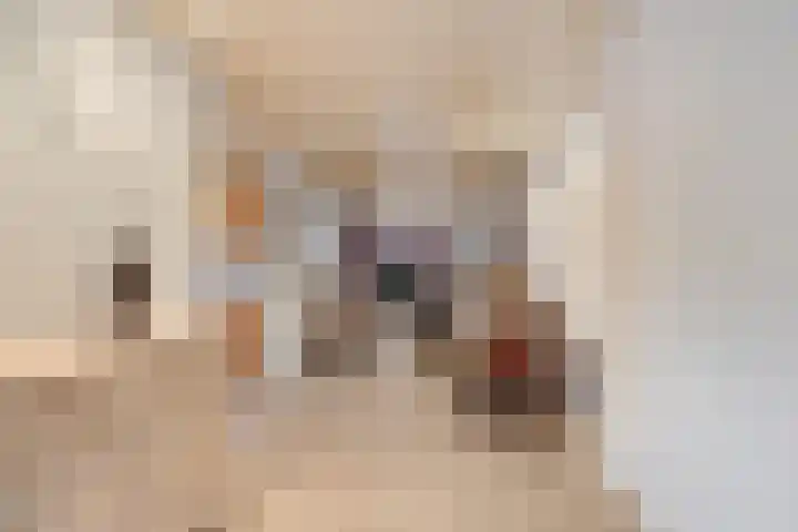 Boomkruiper 2 Boxmeer thumbnail 16
