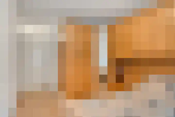Boomkruiper 2 Boxmeer thumbnail 20