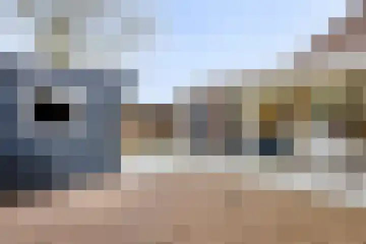 Boomkruiper 2 Boxmeer thumbnail 26