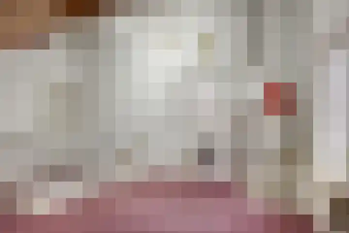 Boomkruiper 2 Boxmeer thumbnail 28