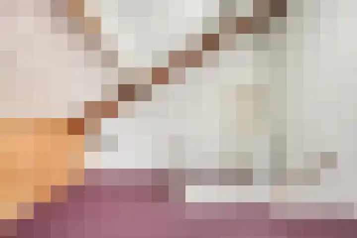 Boomkruiper 2 Boxmeer thumbnail 30