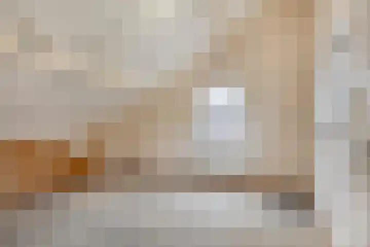 Boomkruiper 2 Boxmeer thumbnail 31