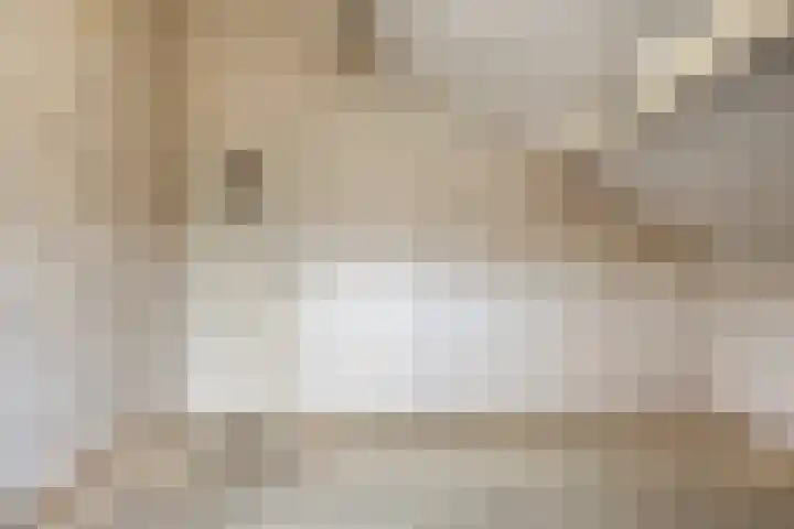 Boomkruiper 2 Boxmeer thumbnail 33