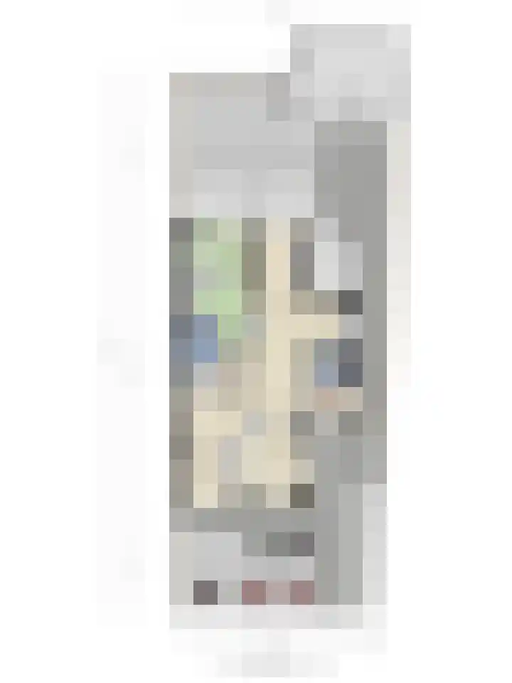 Boomkruiper 2 Boxmeer thumbnail 34