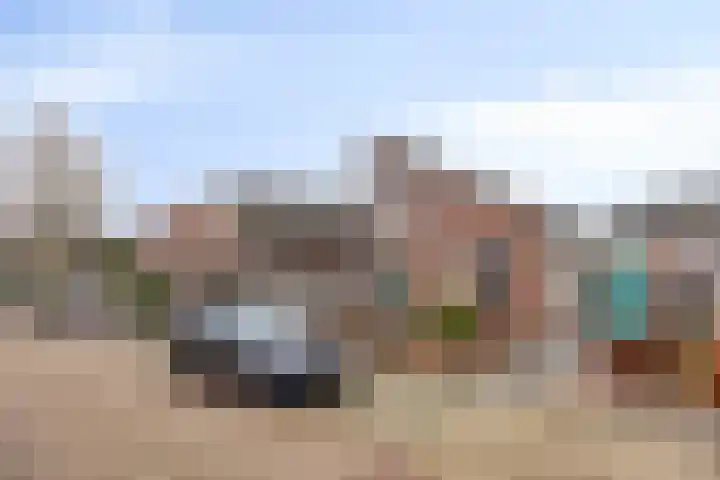 Boomkruiper 2 Boxmeer thumbnail 5