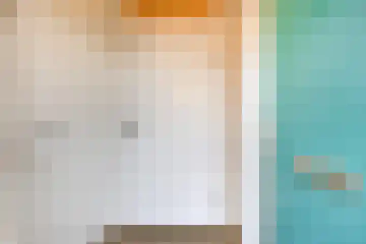 Boomkruiper 2 Boxmeer thumbnail 7