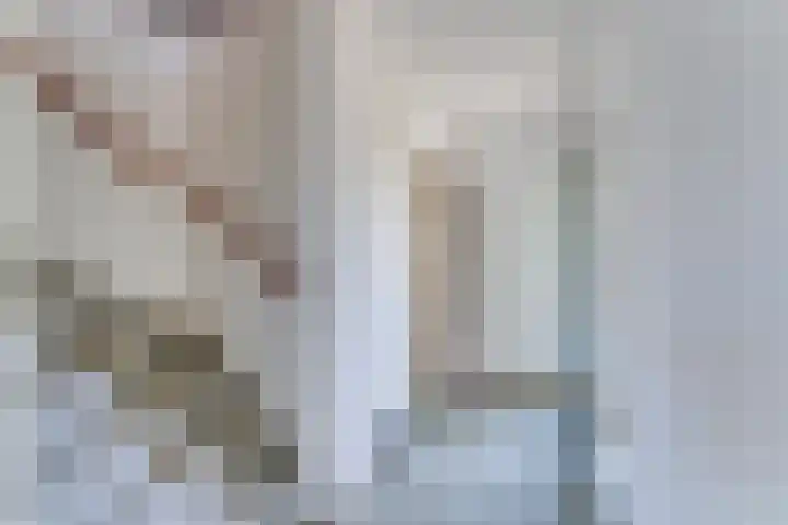 Boomkruiper 8 Nieuwegein thumbnail 10