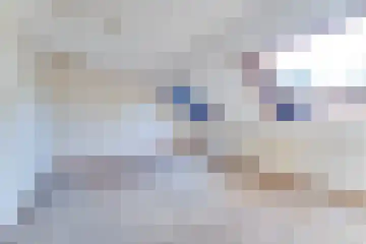 Boomkruiper 8 Nieuwegein thumbnail 12