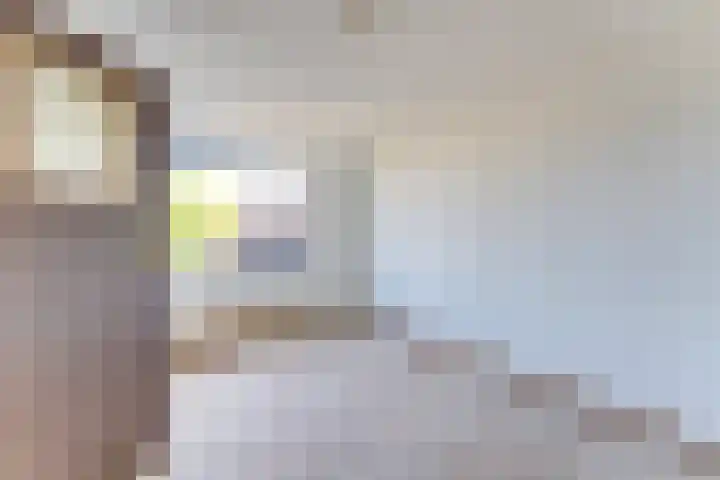 Boomkruiper 8 Nieuwegein thumbnail 16