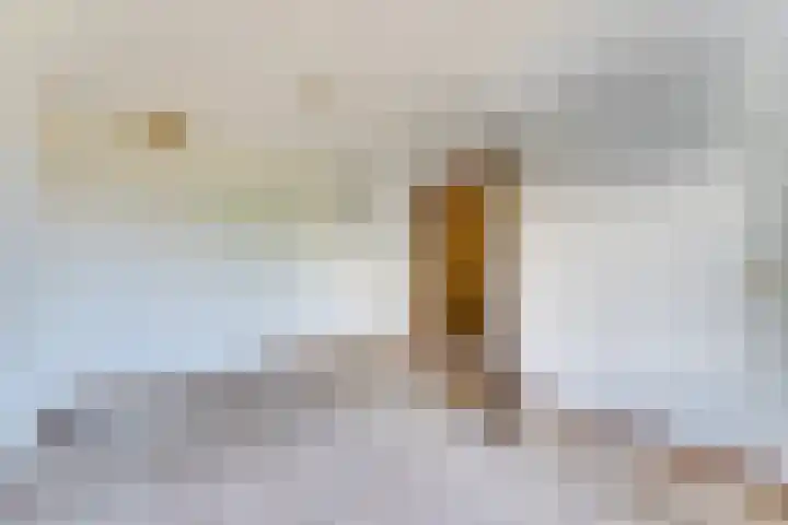 Boomkruiper 8 Nieuwegein thumbnail 18
