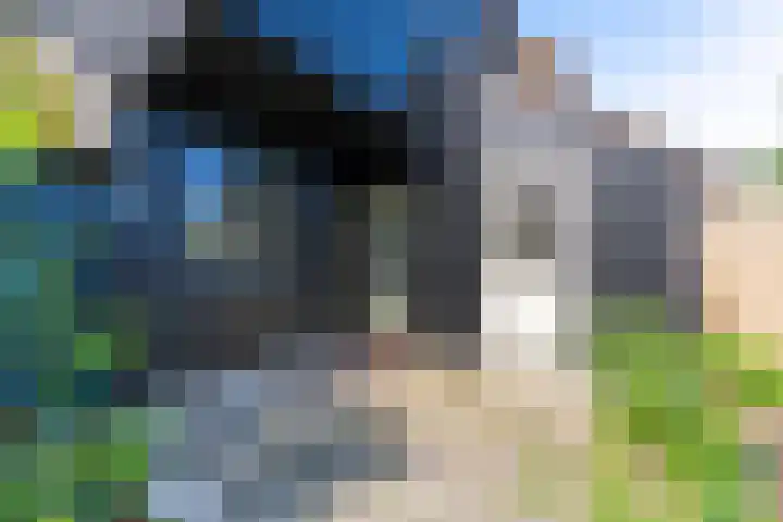 Boomkruiper 8 Nieuwegein thumbnail 23