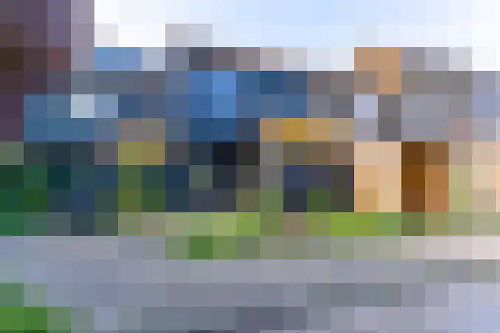 Boomkruiper 8 Nieuwegein thumbnail 24
