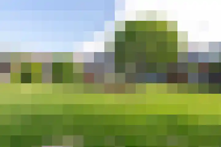 Boomkruiper 8 Nieuwegein thumbnail 25
