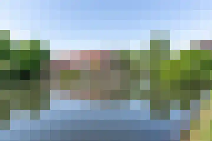 Boomkruiper 8 Nieuwegein thumbnail 27