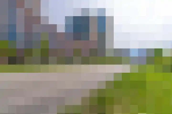 Boomkruiper 8 Nieuwegein thumbnail 28