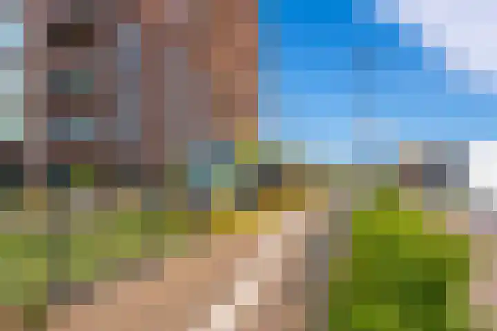 Boomkruiper 8 Nieuwegein thumbnail 29