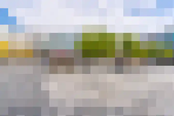 Boomkruiper 8 Nieuwegein thumbnail 30
