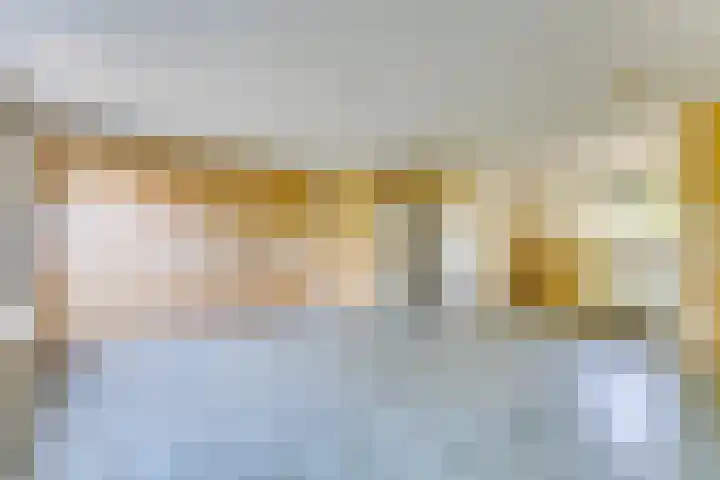 Boomkruiper 8 Nieuwegein thumbnail 4
