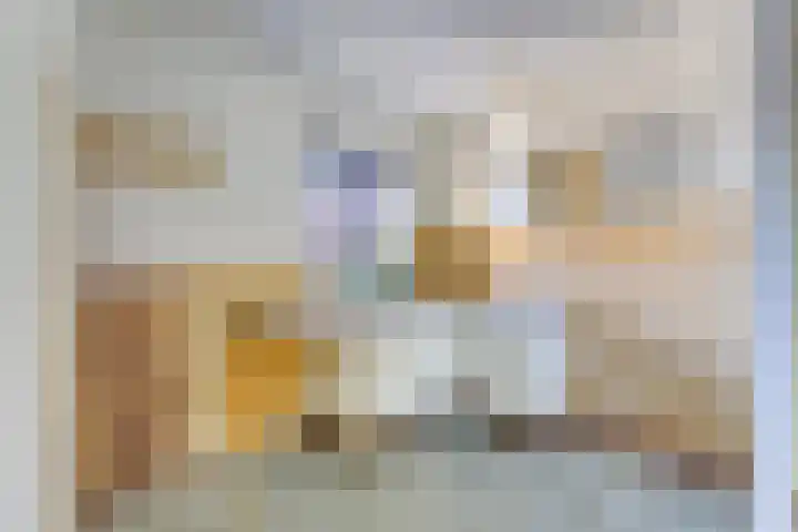 Boomkruiper 8 Nieuwegein thumbnail 5