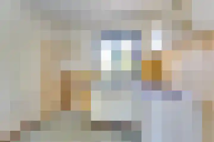Boomkruiper 8 Nieuwegein thumbnail 6
