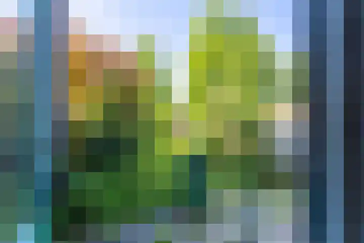 Boomkruiper 8 Nieuwegein thumbnail 8