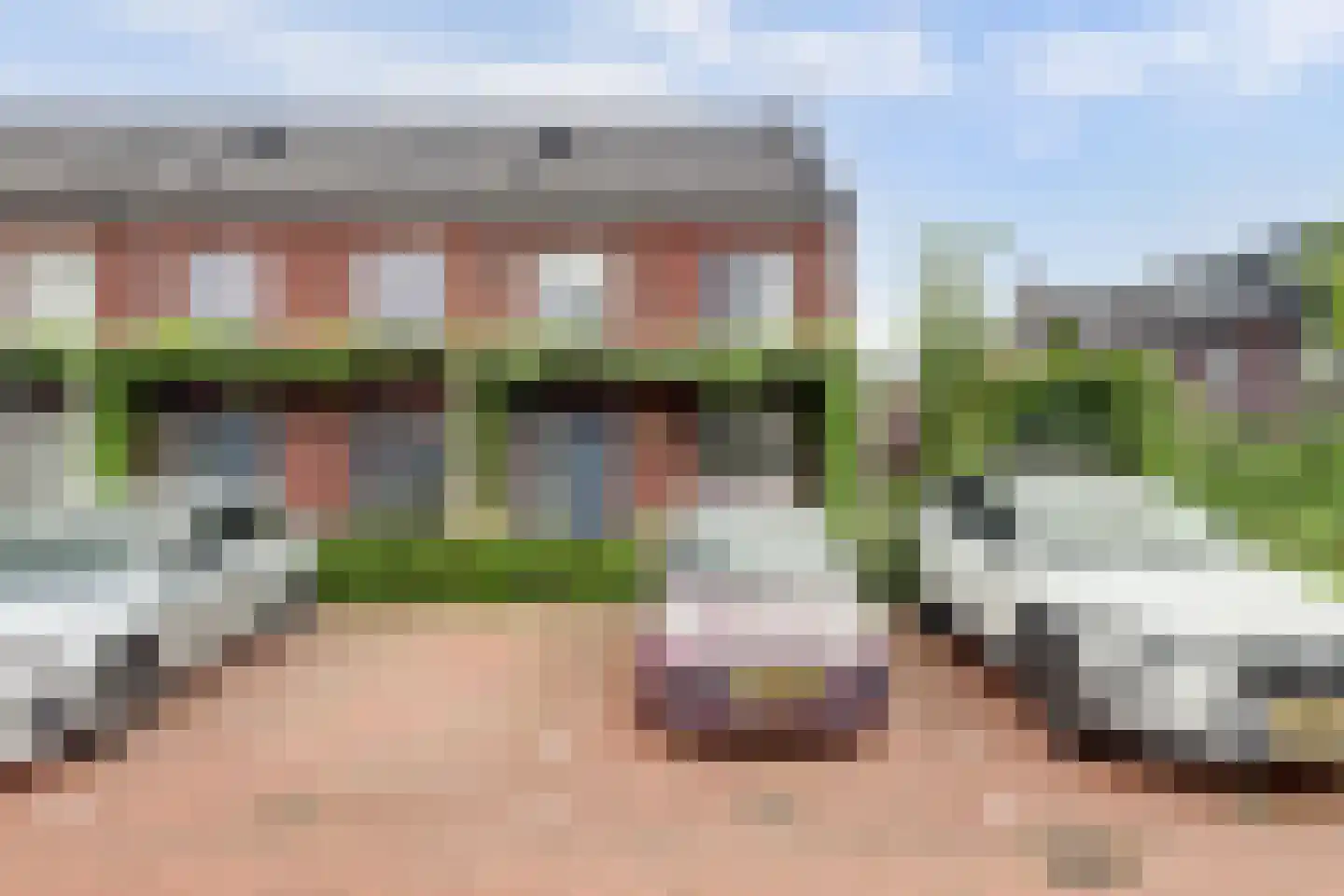 Boomkruiperzoom 2 Pijnacker