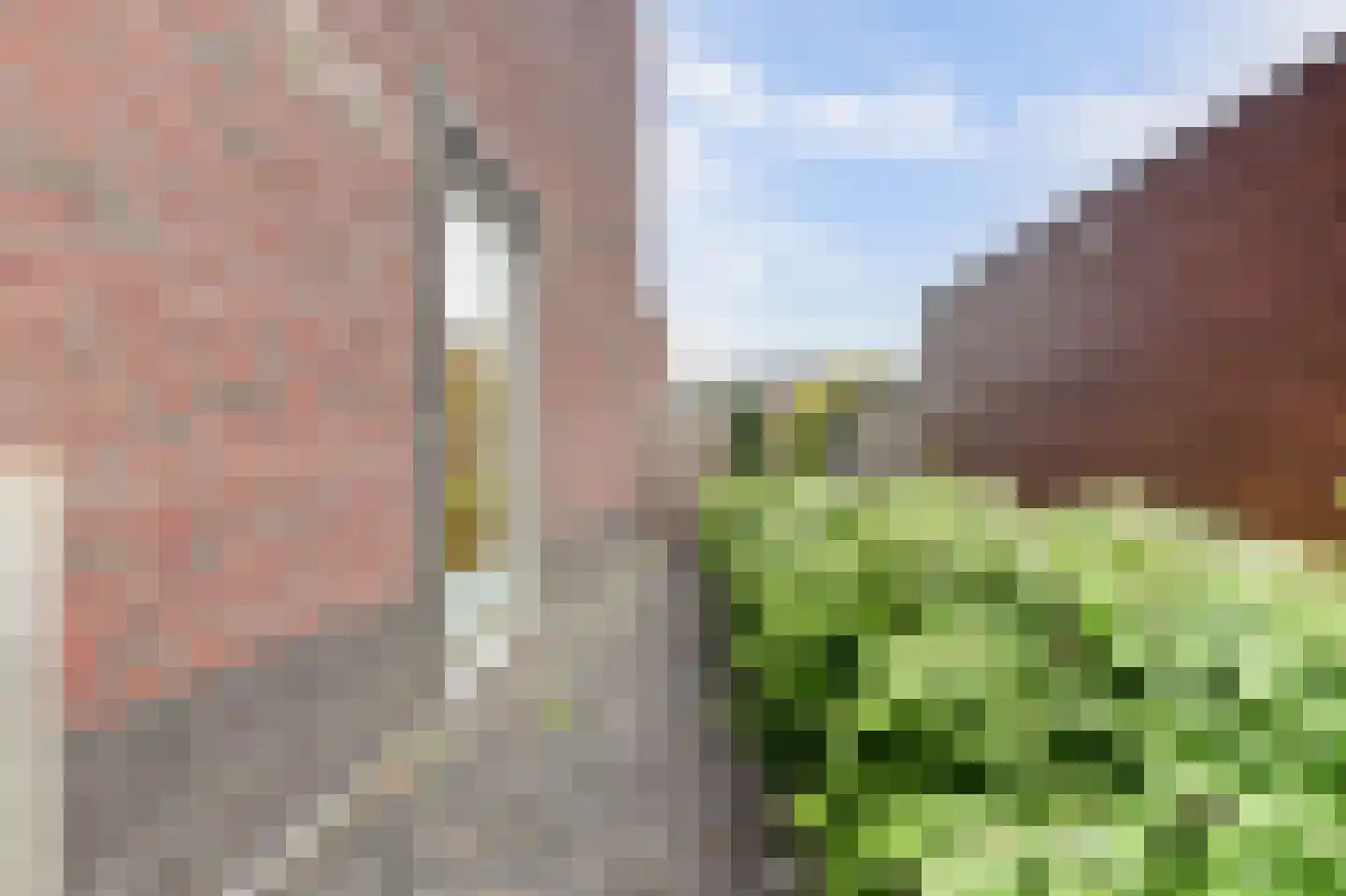 Boomkruiperzoom 2 Pijnacker thumbnail 10