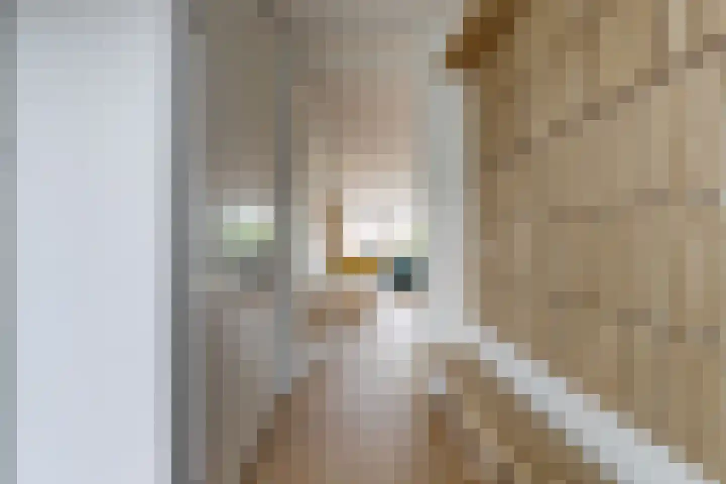 Boomkruiperzoom 2 Pijnacker thumbnail 13