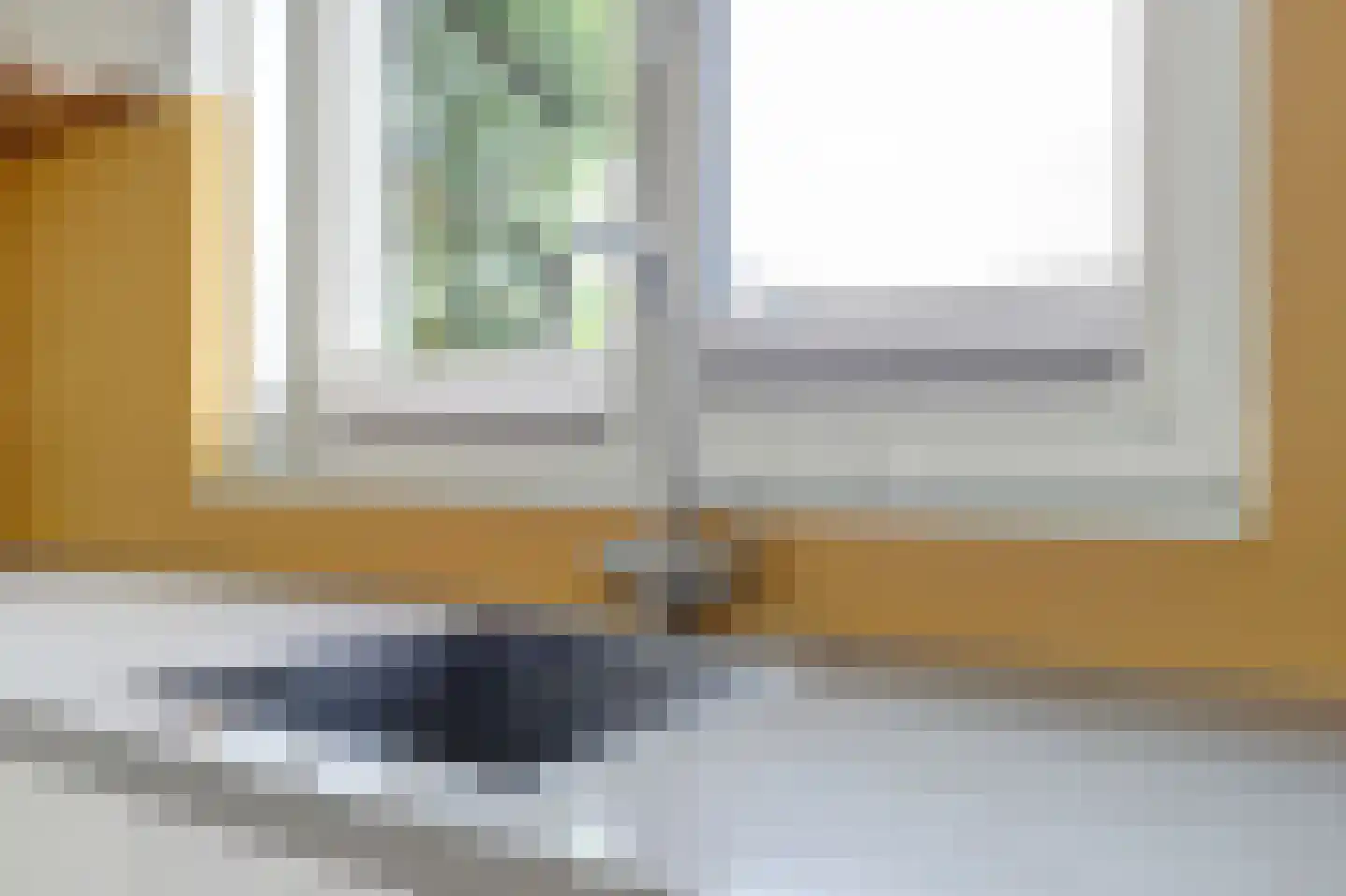 Boomkruiperzoom 2 Pijnacker thumbnail 22
