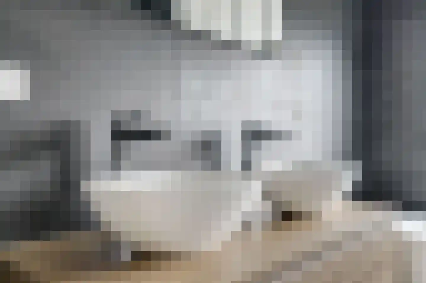 Boomkruiperzoom 2 Pijnacker thumbnail 35