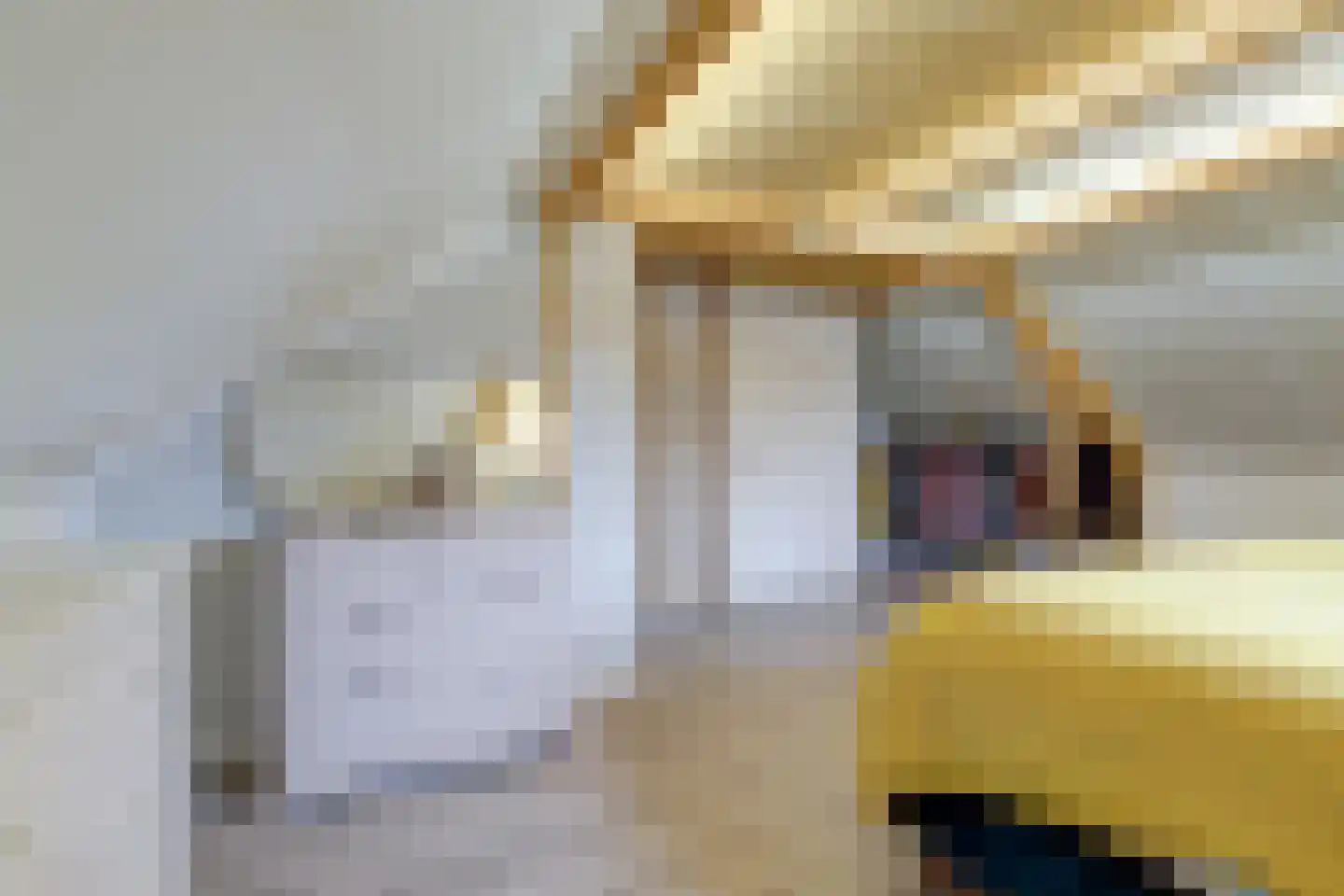 Boomkruiperzoom 2 Pijnacker thumbnail 38