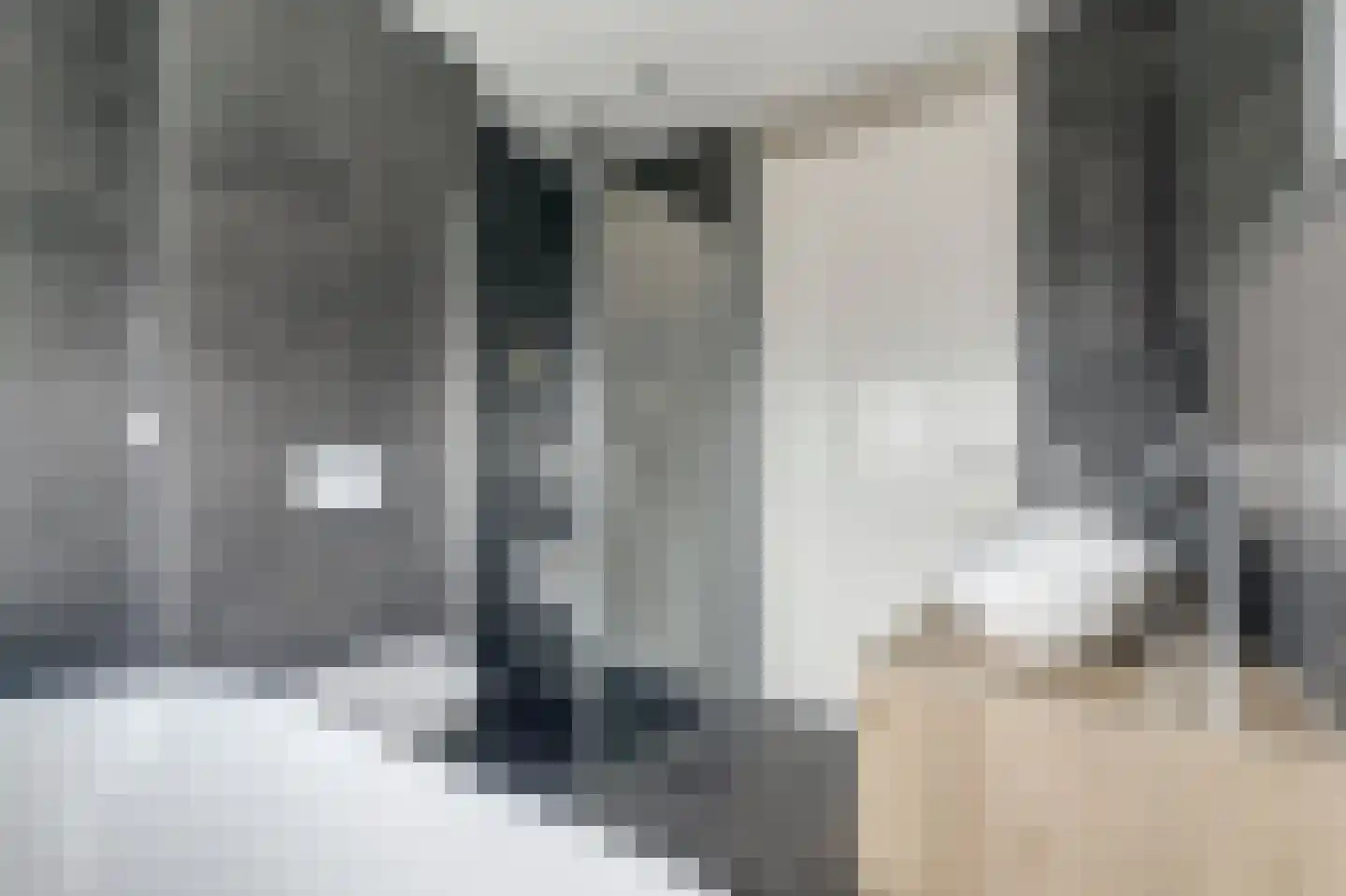 Boomkruiperzoom 2 Pijnacker thumbnail 4