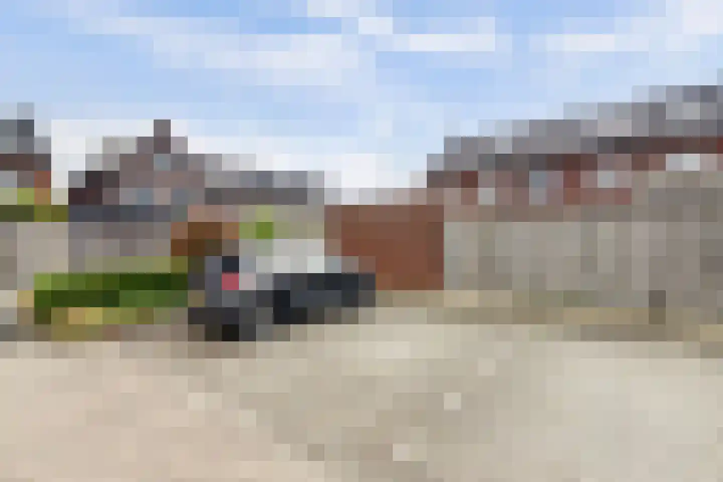 Boomkruiperzoom 2 Pijnacker thumbnail 41