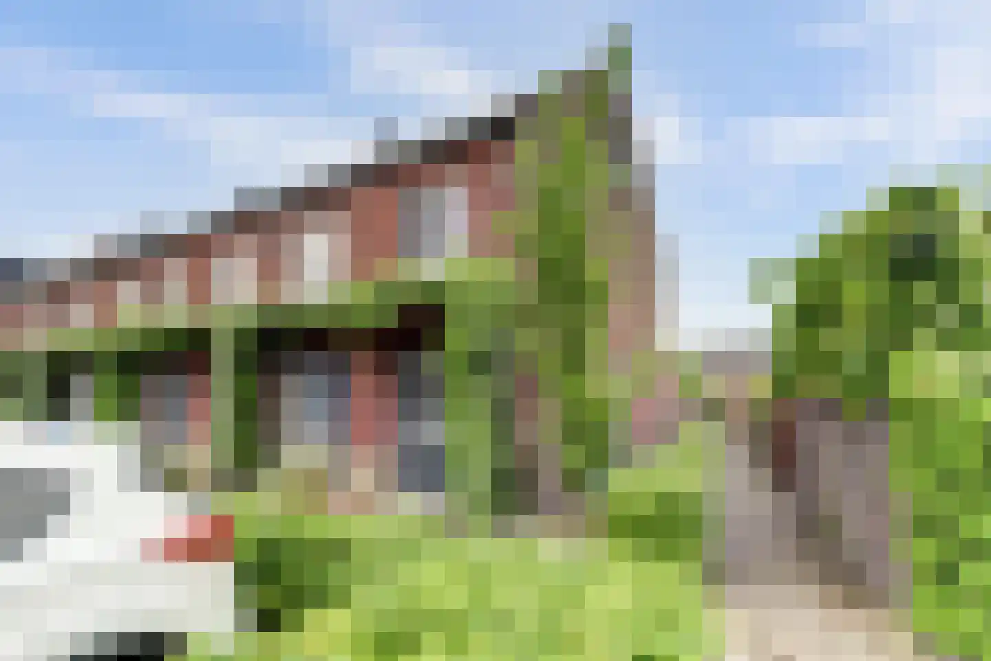 Boomkruiperzoom 2 Pijnacker thumbnail 9