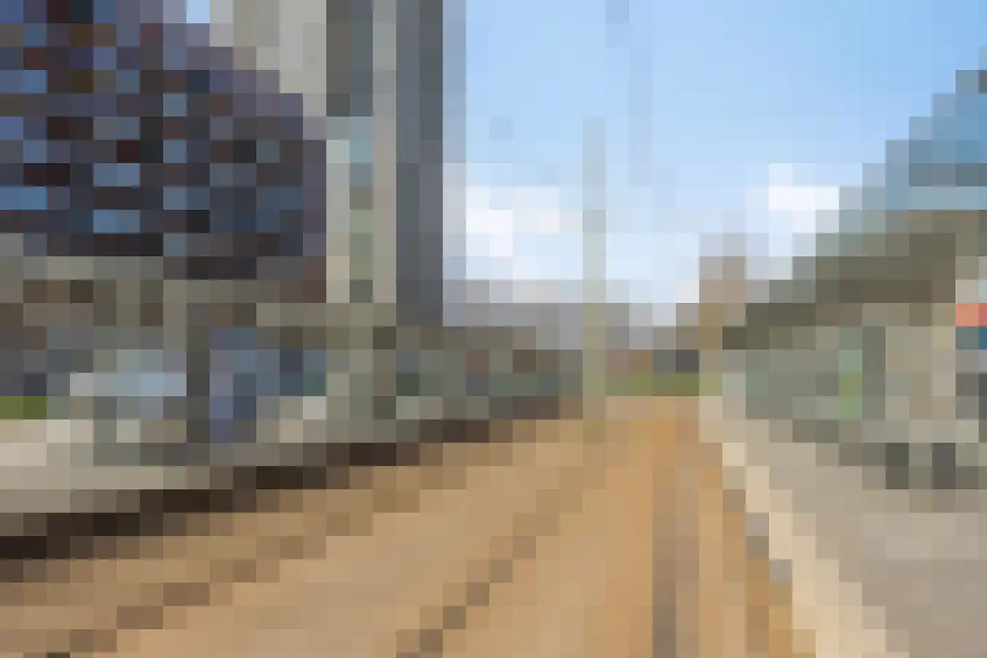 Boomkruiperzoom 8 in Pijnacker