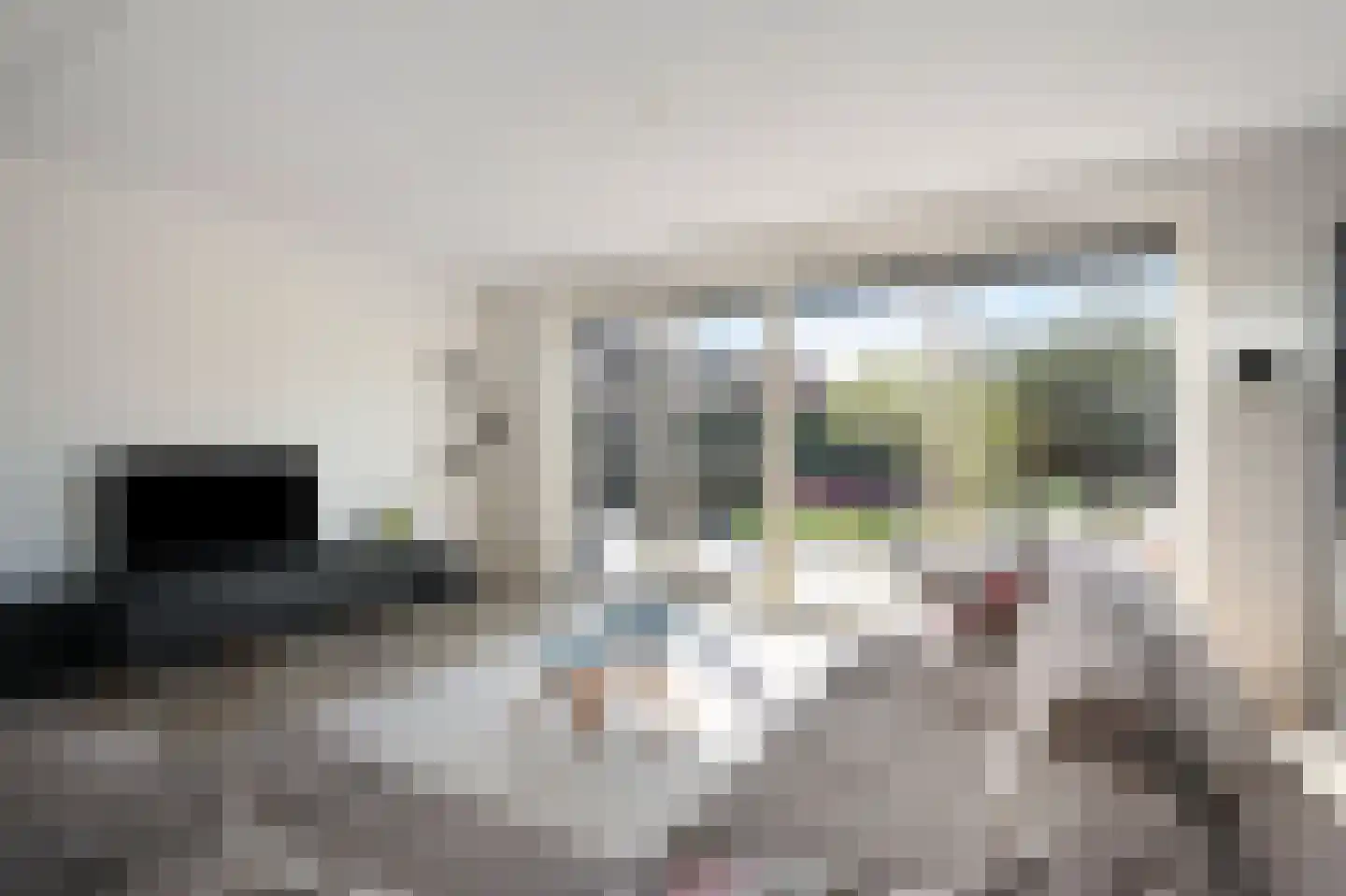 Boomkruiperzoom 8 Pijnacker thumbnail 13